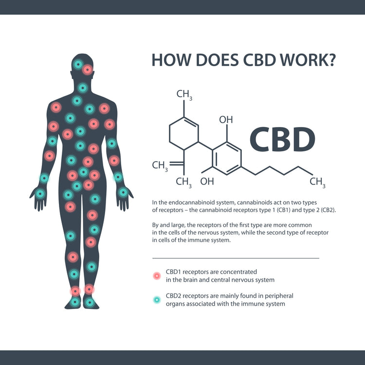 CBD Knowledge is Key – Liberation Nation